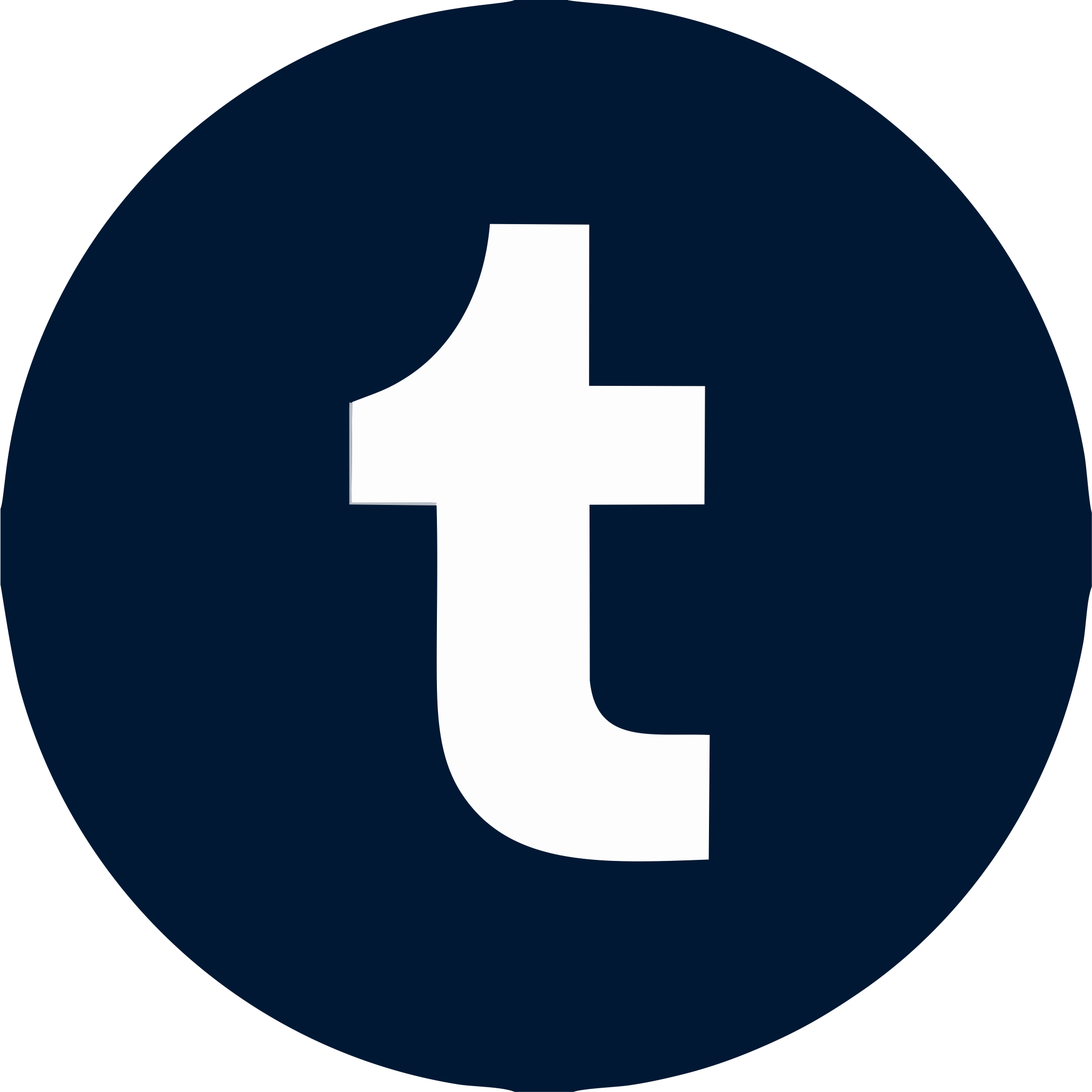 Tumblr icon